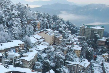 Shimla