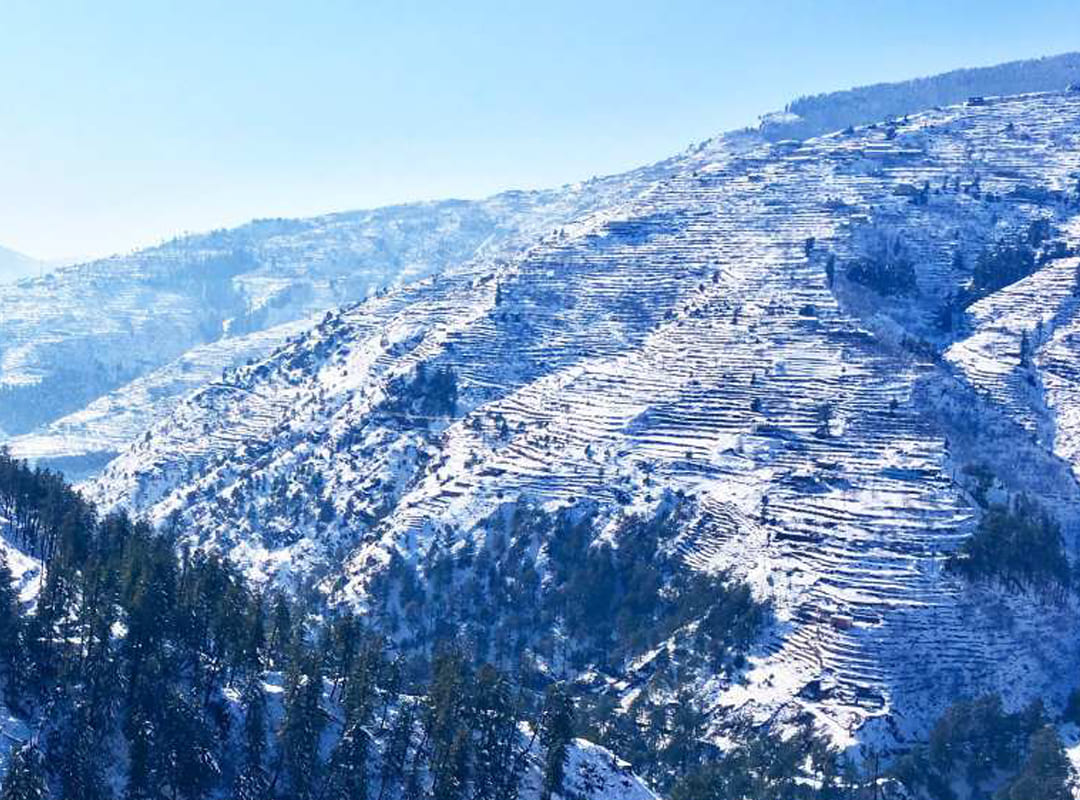 Himachal