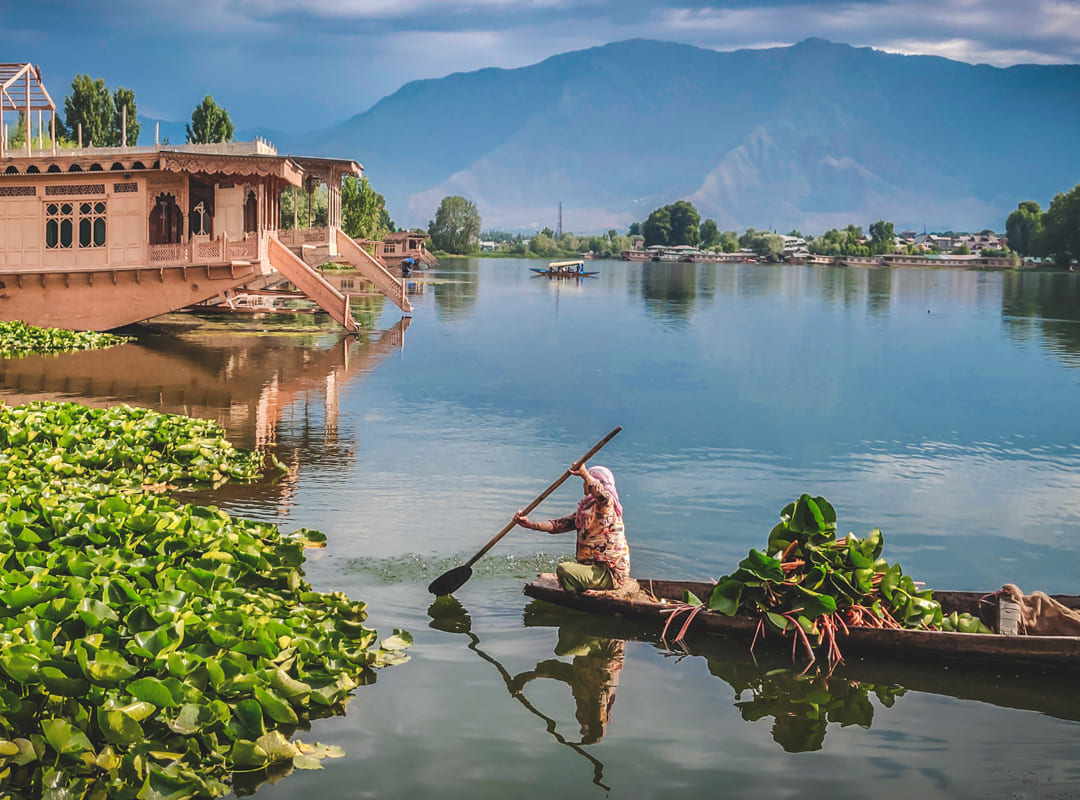 Jammu-Kashmir