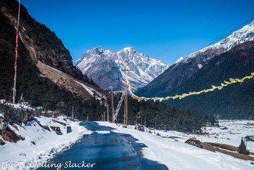 Yumthang Valley