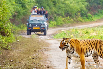 Jim Corbett National Park