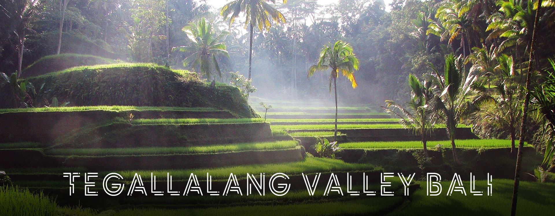 Tegallalang Valley Bali