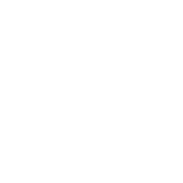 Bus Tickets