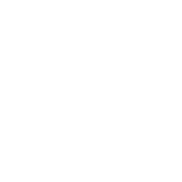 Flight Tickets