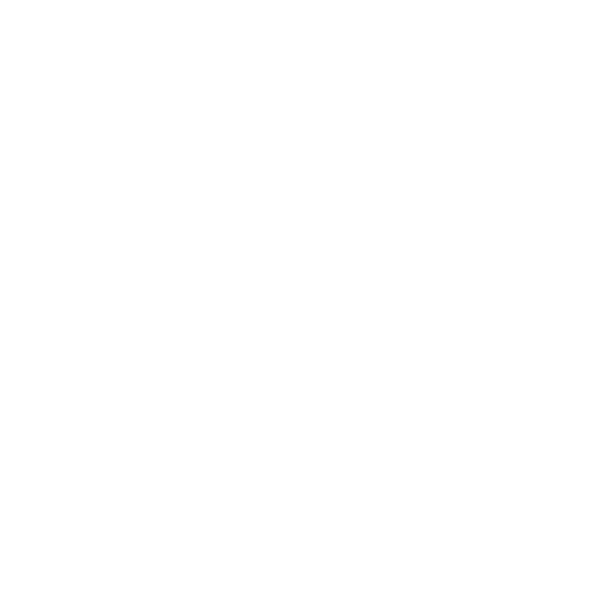 Travel Insurance