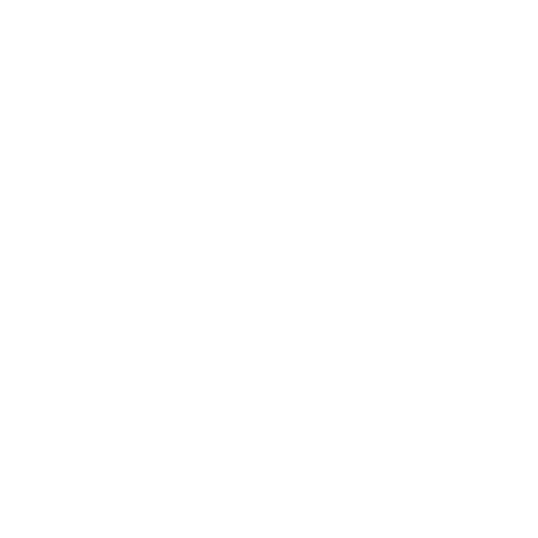 Vehicle Insurance