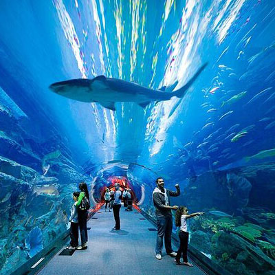 Dubai Aquarium