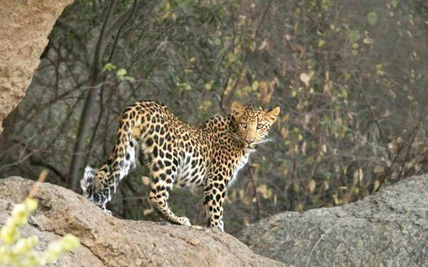 Wildlife Sanctuary